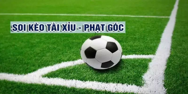 Top 5 kèo phạt góc được bet thủ quan tâm