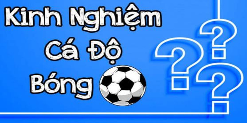 Cá độ bóng đá và những kinh nghiệm chơi chuẩn của chuyên gia